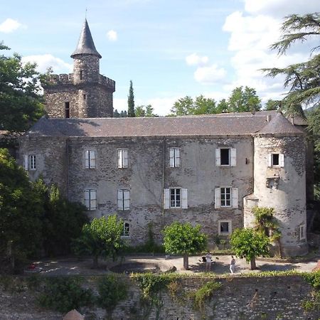 Le Château de Cambiaire Saint-Etienne-Vallee-Francaise Exterior foto