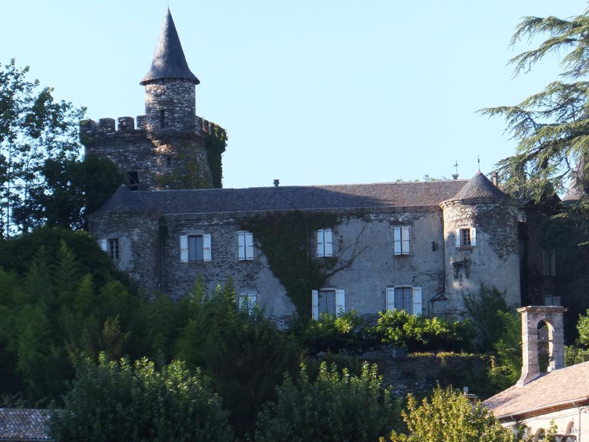 Le Château de Cambiaire Saint-Etienne-Vallee-Francaise Exterior foto