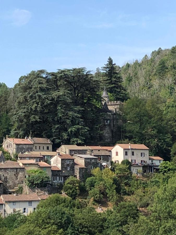 Le Château de Cambiaire Saint-Etienne-Vallee-Francaise Exterior foto