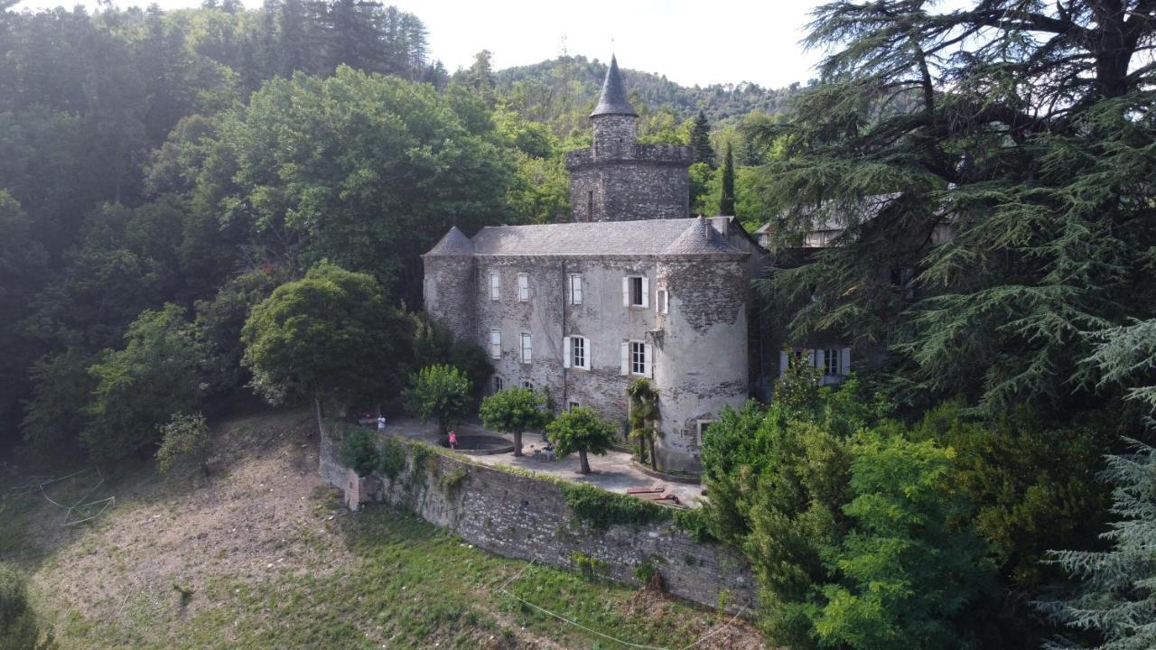 Le Château de Cambiaire Saint-Etienne-Vallee-Francaise Exterior foto